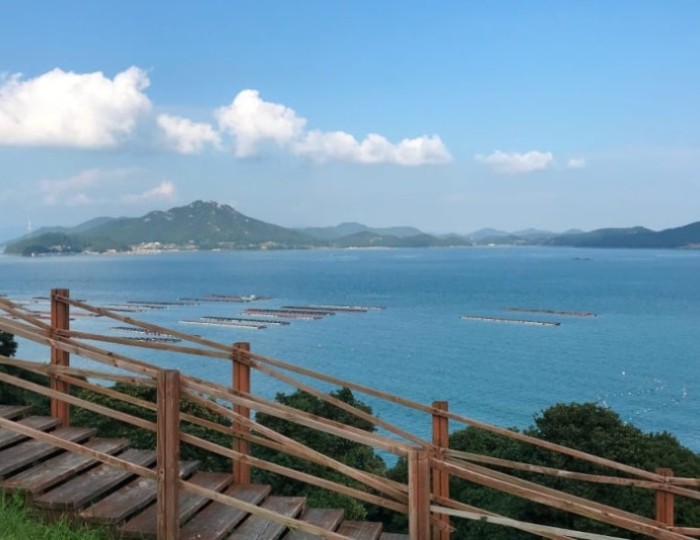 Discovering Wando's Myungsasimni Beach: A Perfect Summer Getaway float