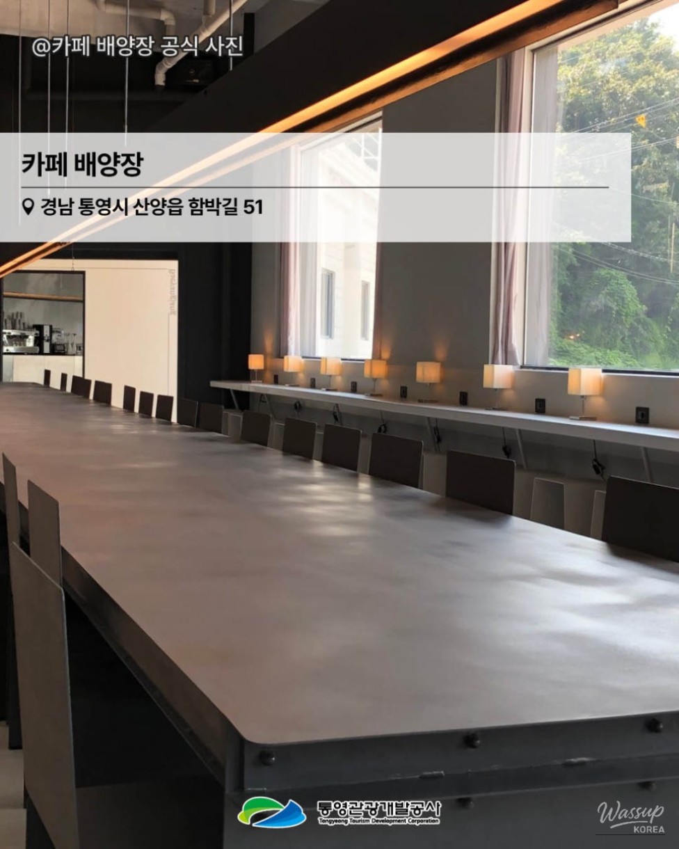 Exploring the Charming Cafés of Tongyeong_04