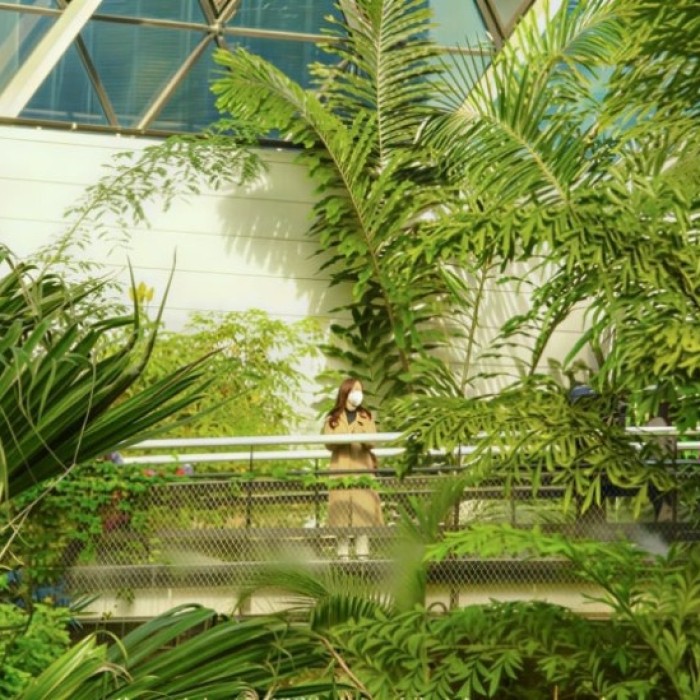 Exploring the Beauty of Seoul Botanic Garden_01