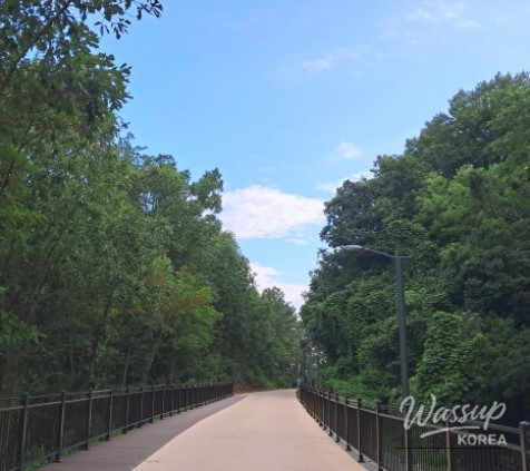 Exploring the New Walking Path along the Old Railway in Andong_02