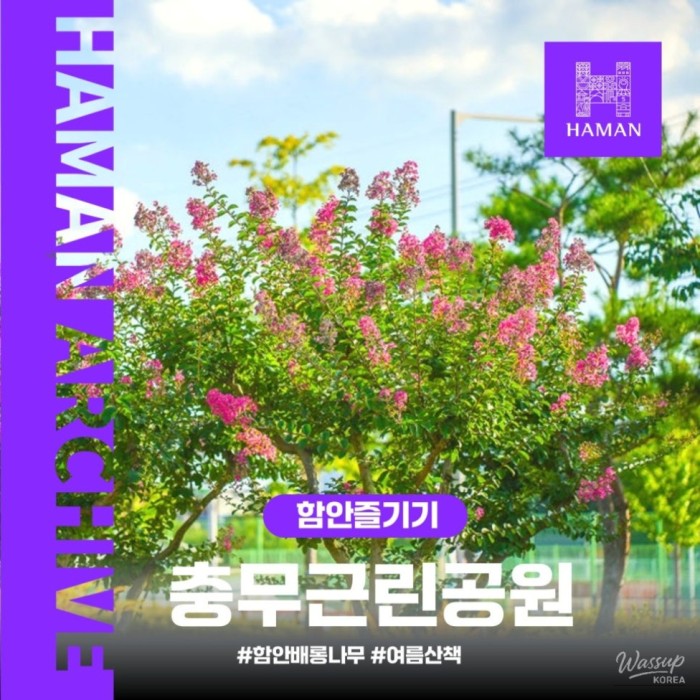 Exploring Chunmu Neighborhood Park in Ham-an