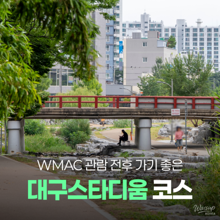 Experience the Thrill of WMAC 2026 in Daegu