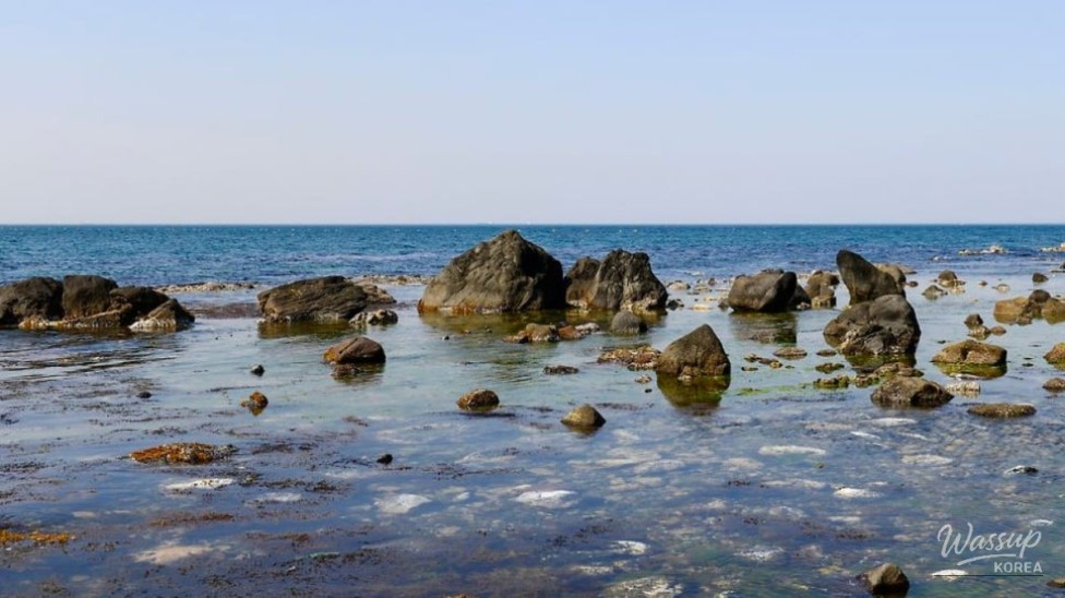 Explore the Scenic Homi Peninsula Coastal Trail in Pohang_05