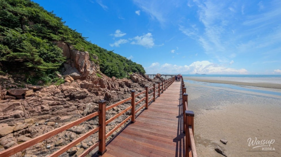 Exploring the Scenic Marine Walkway of Muido Island_02