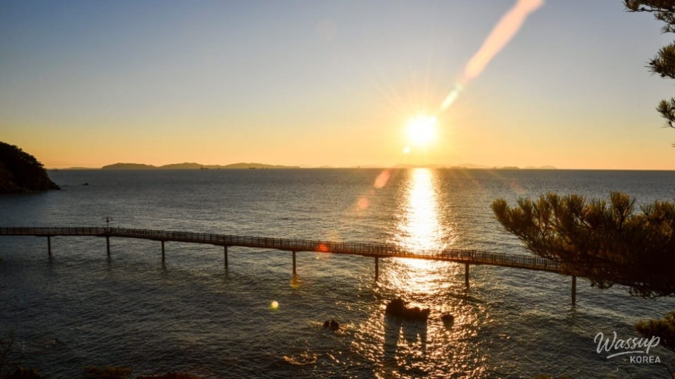 Exploring the Scenic Marine Walkway of Muido Island_03