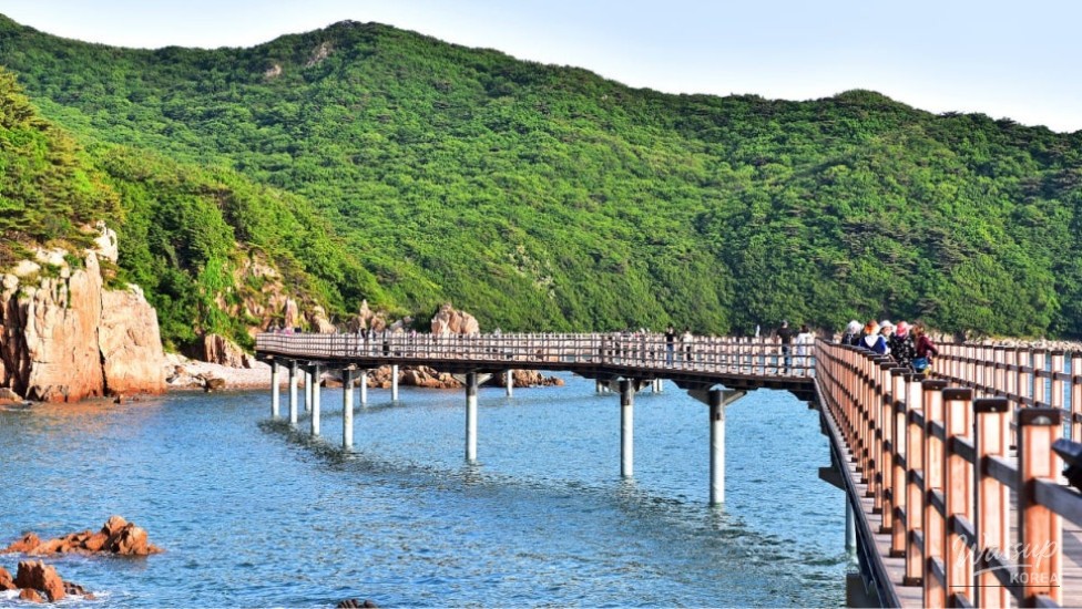 Exploring the Scenic Marine Walkway of Muido Island_01