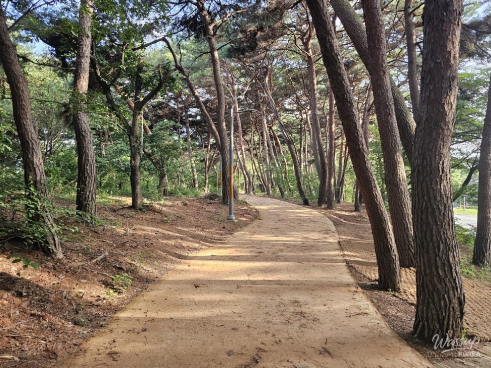 Exploring the Literary House of Yoon Heung-gil_16