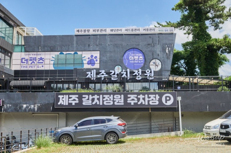 A Seafood Delight: Exploring Jeju's Grilled Hairtail Dish_04