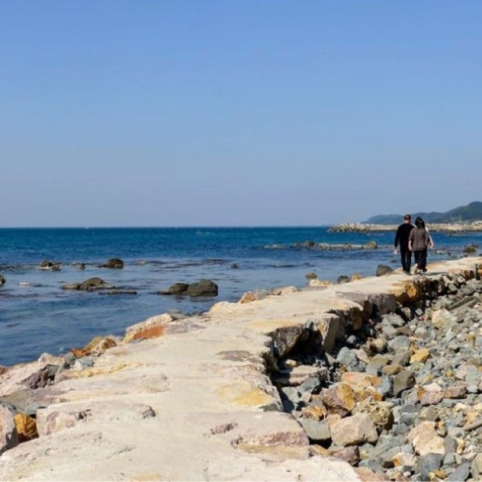 Explore the Scenic Homi Peninsula Coastal Trail in Pohang5138