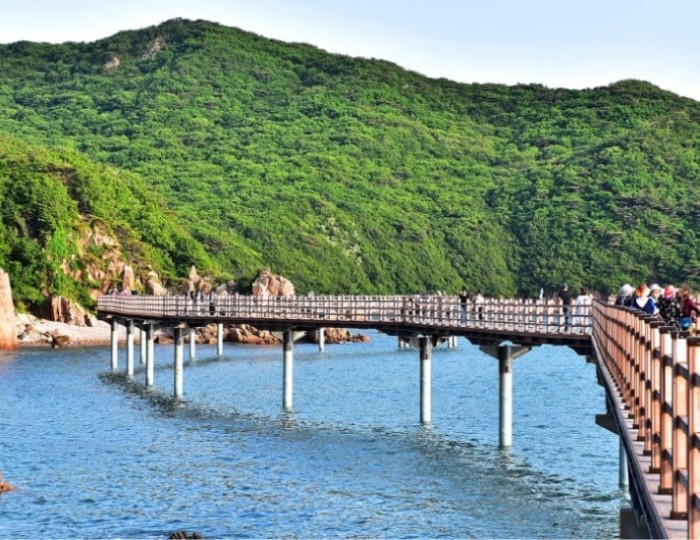 Exploring the Scenic Marine Walkway of Muido Island float