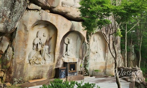 Exploring Ulsan's Taehwa River National Garden: A Summer Oasis_05
