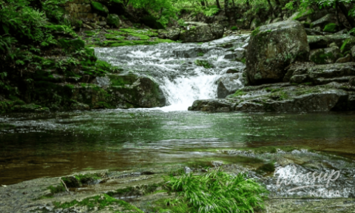 Exploring Ulsan's Taehwa River National Garden: A Summer Oasis_07