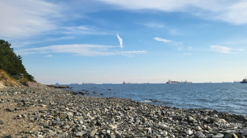 Discovering the Hidden Gem of Gamji Beach in Busan_04
