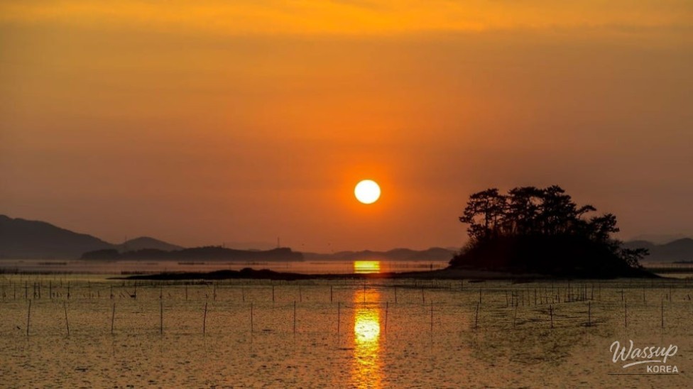 Discover the Scenic Waon Beach in Suncheon_05