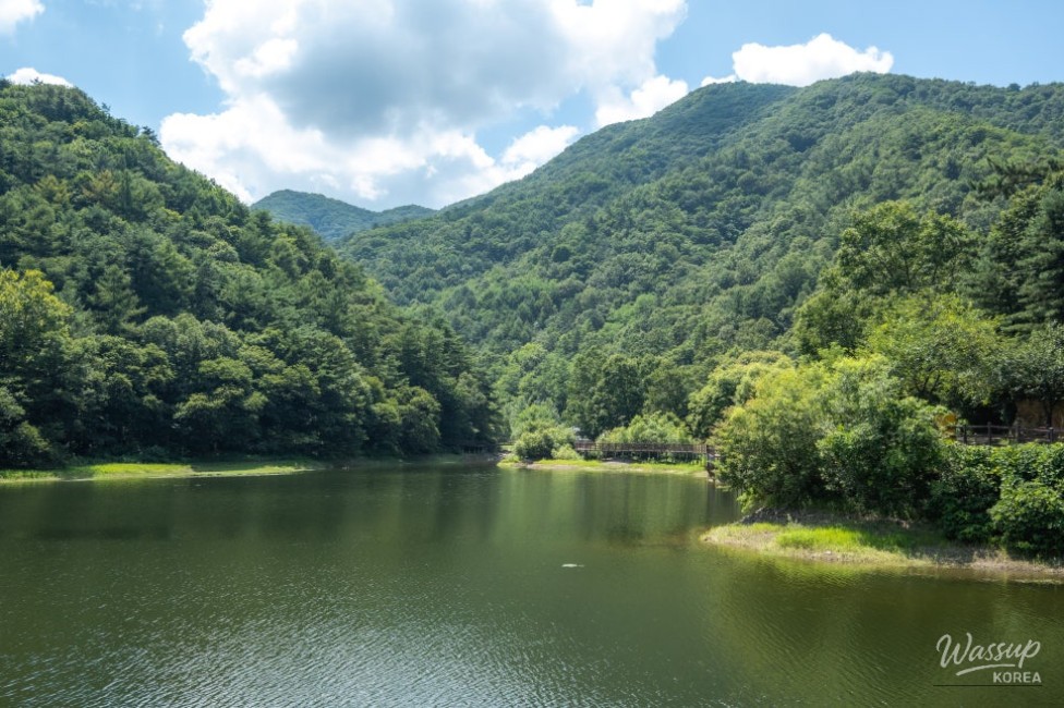 Exploring the Tranquil Yeonam Geological Ecological Park in Chungcheongbuk-do_03