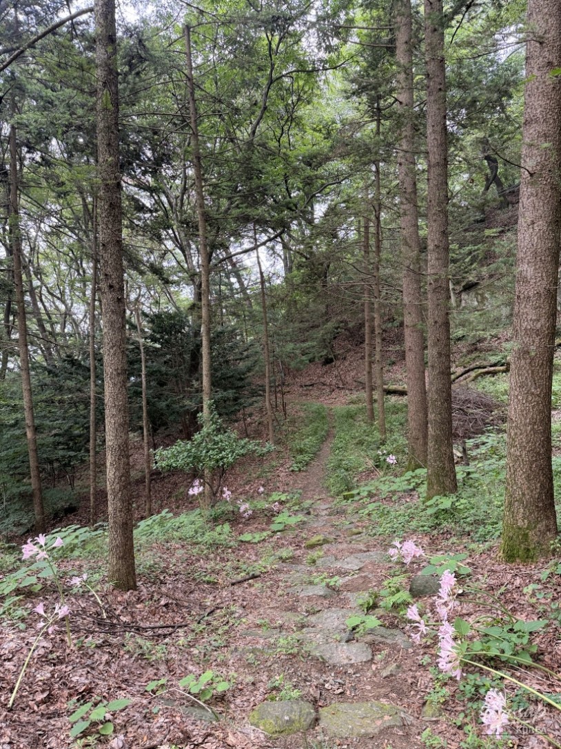 Exploring Seoksung Mountain: A Half-Day Hiking Experience_05