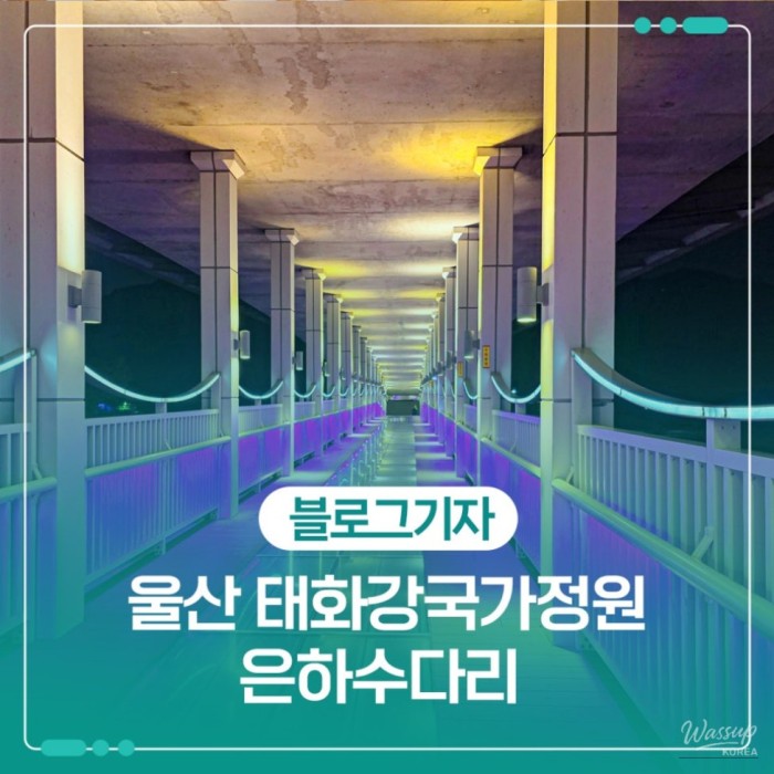 Exploring the Beauty of Taehwa River and Milky Way Bridge in Ulsan2494