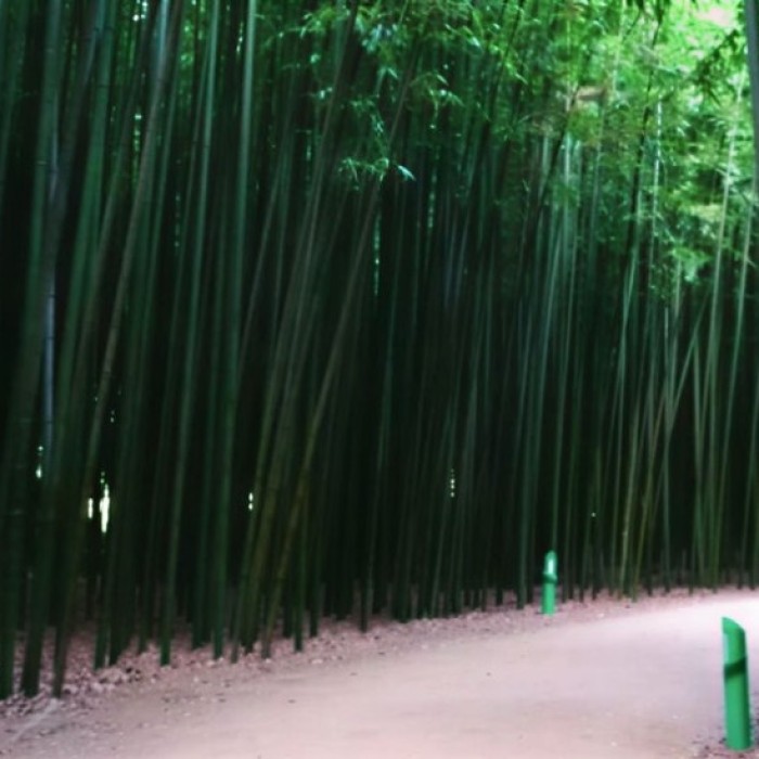 Exploring Ulsan's Taehwa River National Garden: A Summer Oasis5153