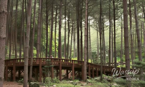 Exploring the Summer Charm of Suseong Lake in Daegu_06