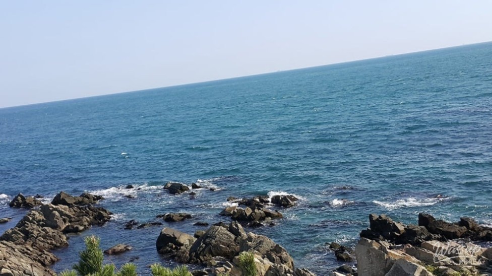 Experience the Charm of Ulsan's Whale Culture Village_05