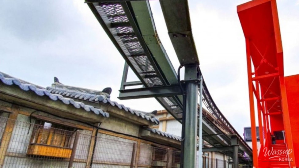 Experience the Charm of Ulsan's Whale Culture Village_03