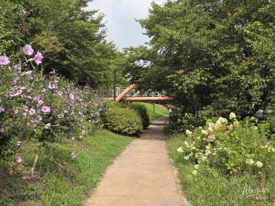 Exploring the Beauty of Dangjin Eoreum Waterfront Park_06