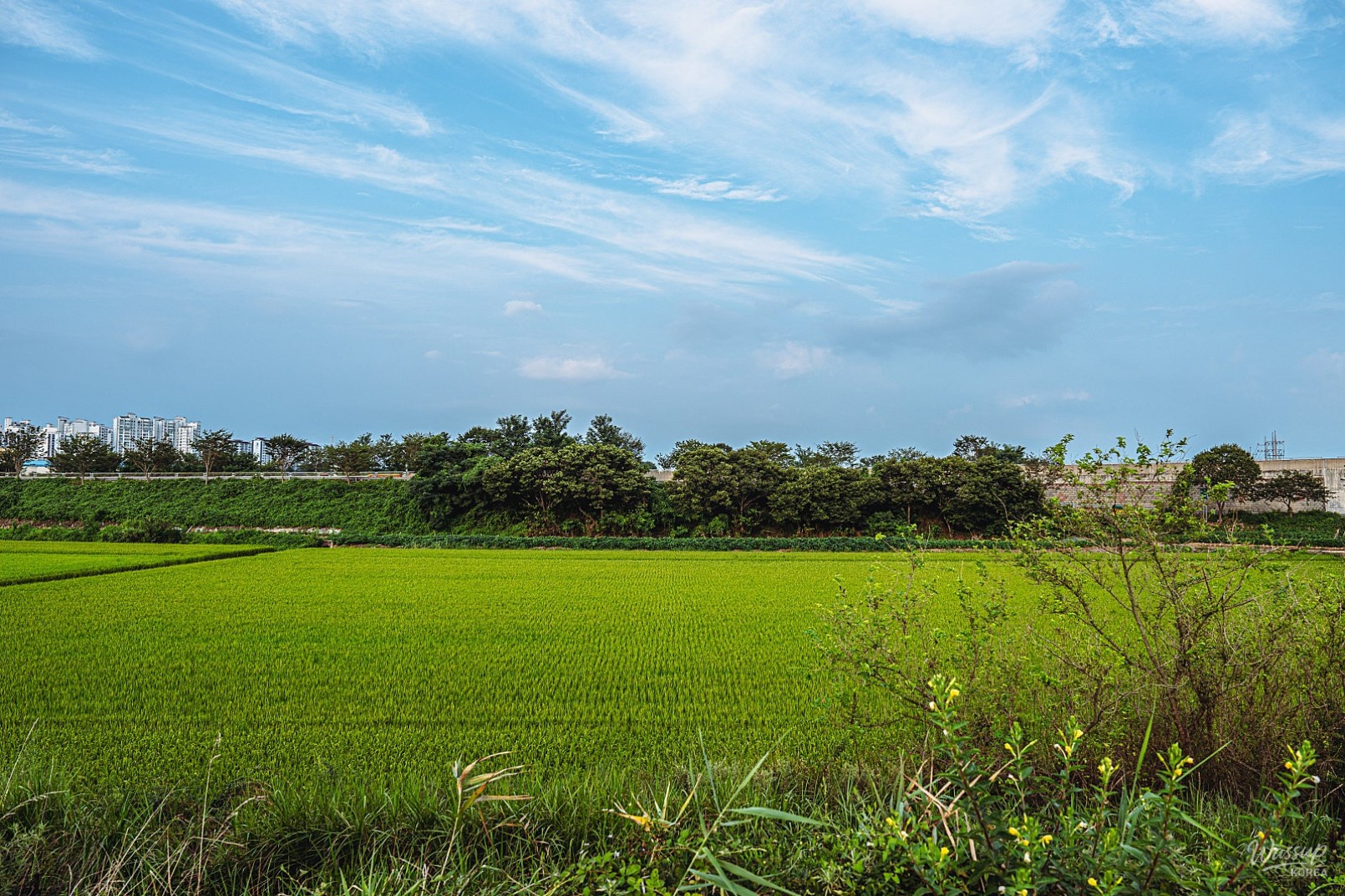 A Healing Stroll Along the Serene Waves of Obong Reservoir_09