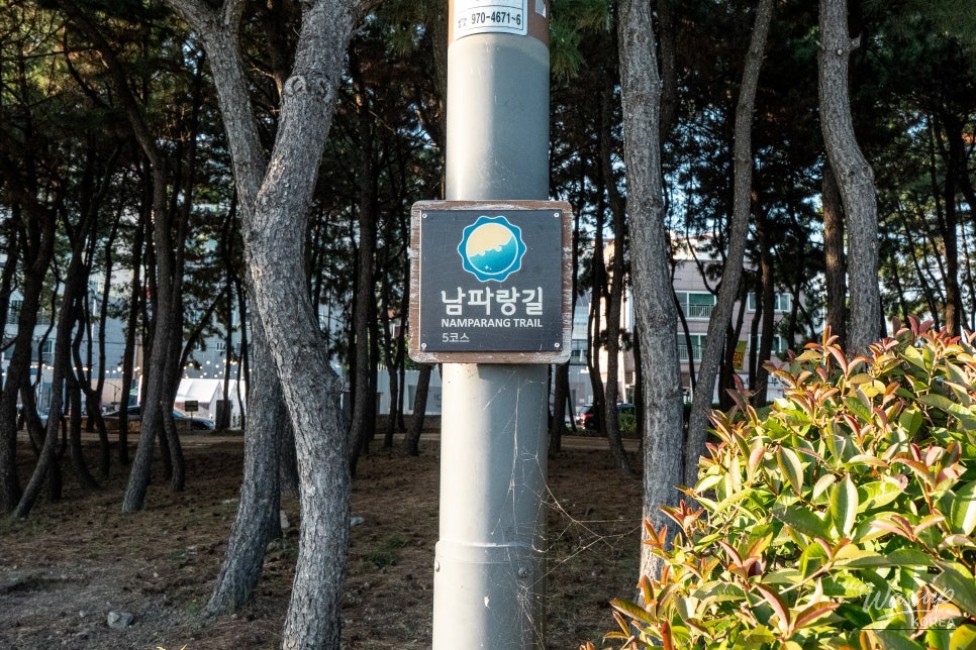 Exploring Unique Natural Landscapes in Busan: Sodam Park_12