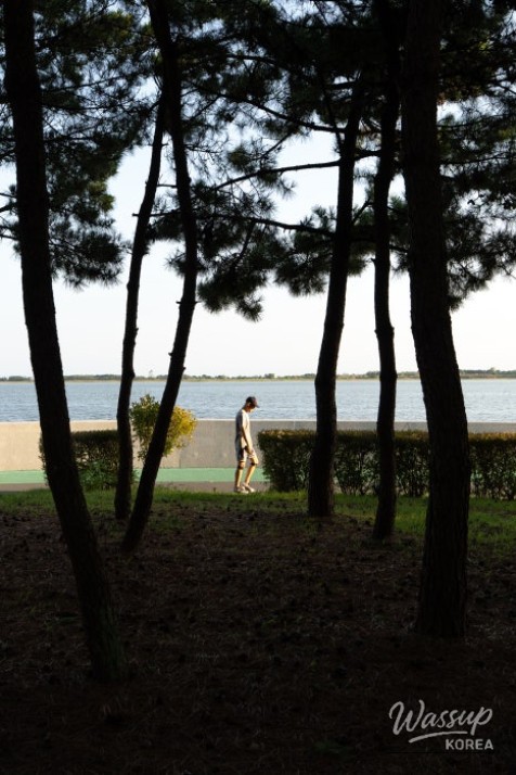 Exploring Unique Natural Landscapes in Busan: Sodam Park_10