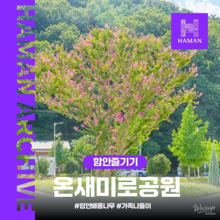 Exploring IpGok Onsaemiro Park in Ham-an2496