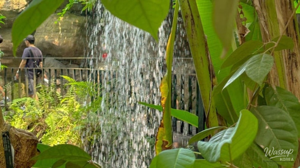 Explore the National Ecology Institute: A Perfect Summer Retreat_05