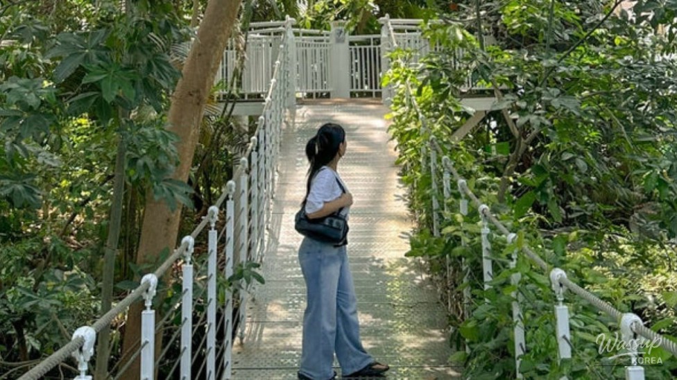 Explore the National Ecology Institute: A Perfect Summer Retreat_03