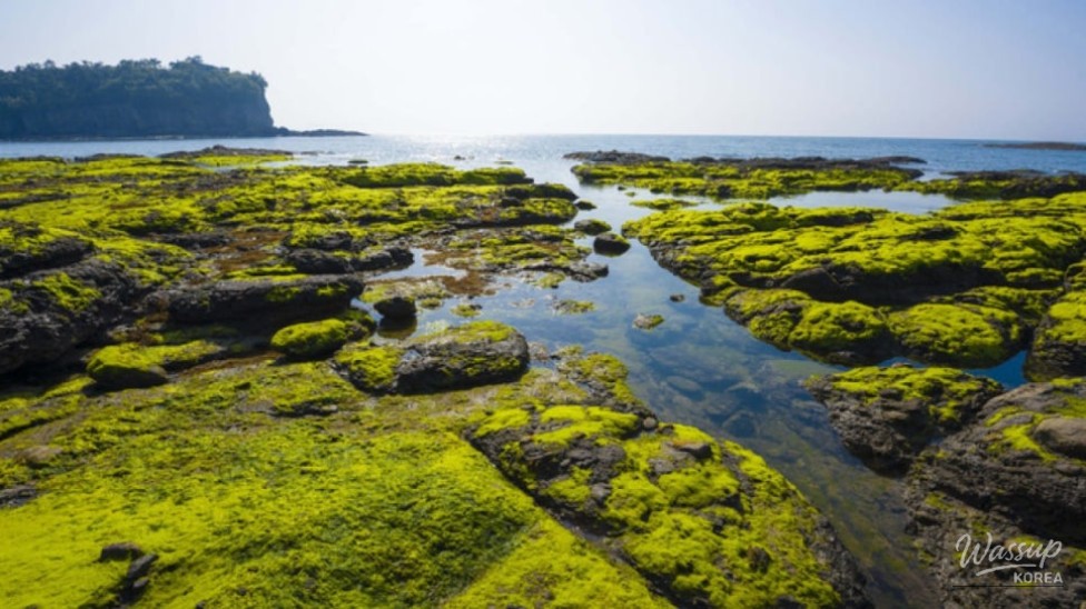 Discovering the Scenic Beauty of Byeonsanbando National Park_05