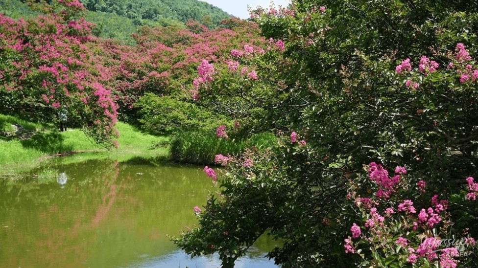 Exploring the Beauty of Myeongokheon Garden in Damyang_01
