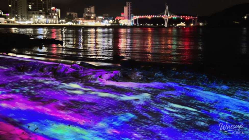 Discovering Myeongseondo: A Nighttime Paradise on the Southern Coast_01