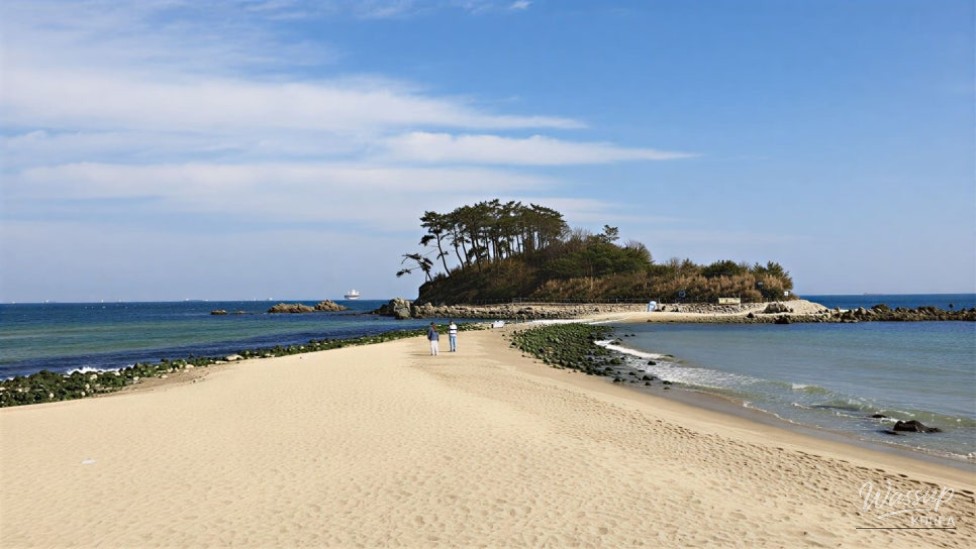 Discovering Myeongseondo: A Nighttime Paradise on the Southern Coast_04
