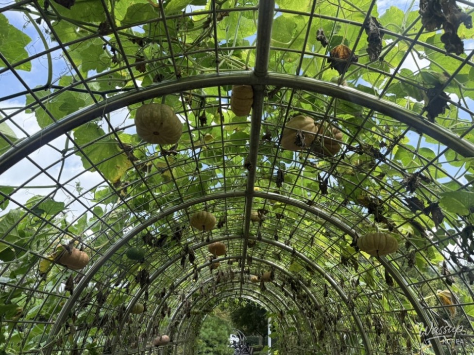 Exploring Healing Agriculture in Gyeonggi Province_09