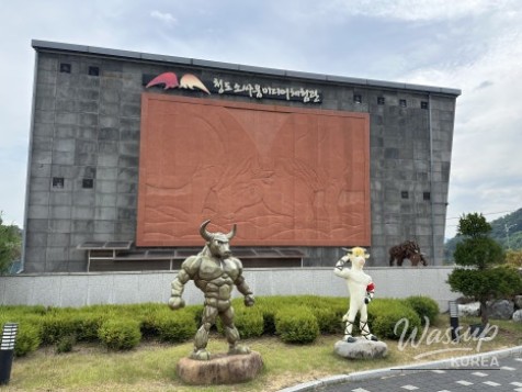 Explore the Cheongdo Bullfighting Media Experience Center_01