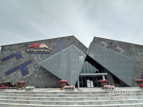 Explore the Cheongdo Bullfighting Media Experience Center_02