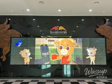 Explore the Cheongdo Bullfighting Media Experience Center_04