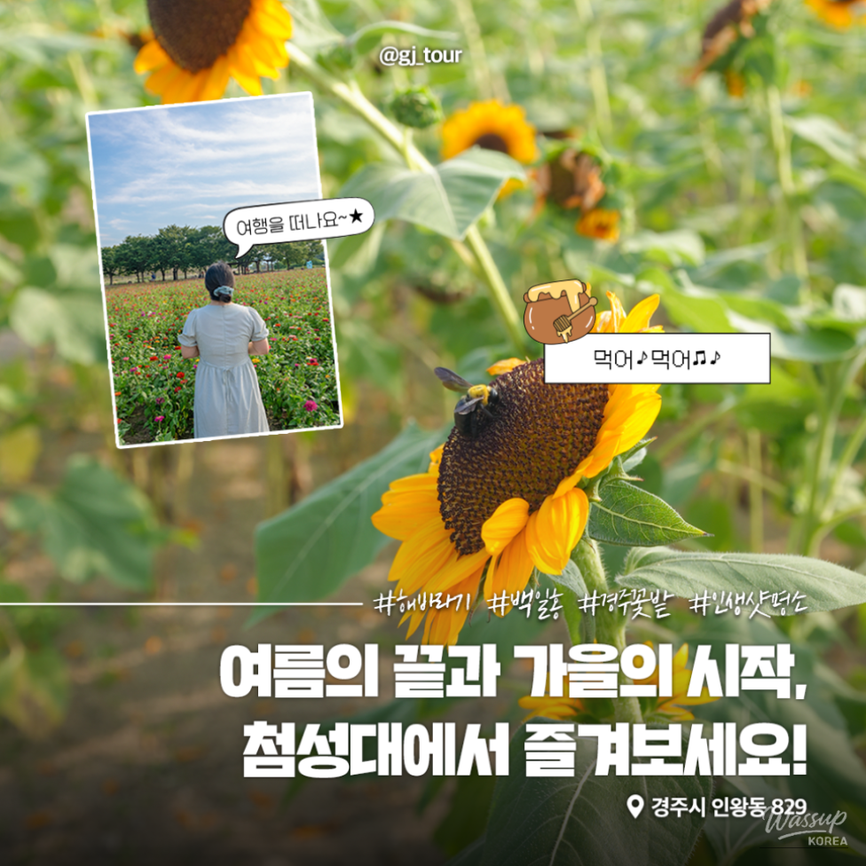 Discover the Beauty of Fall in Gyeongju_09