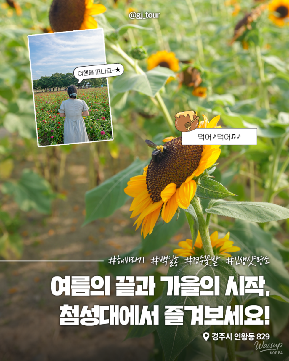 Discover the Beauty of Fall in Gyeongju_01