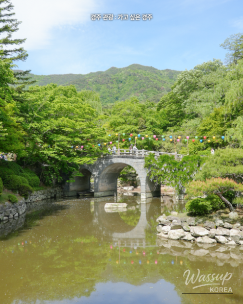 Exploring Bulidan-gil: A Hidden Gem in Gyeongju_06