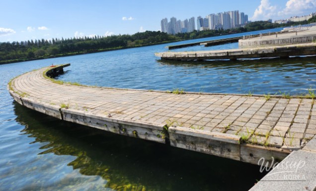 The Revamped Ilsan Lake Park Dock: A Closer Encounter with the Lake_03
