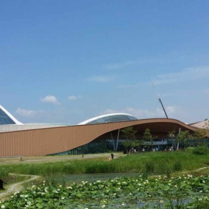 Explore the National Ecology Institute: A Perfect Summer Retreat5181
