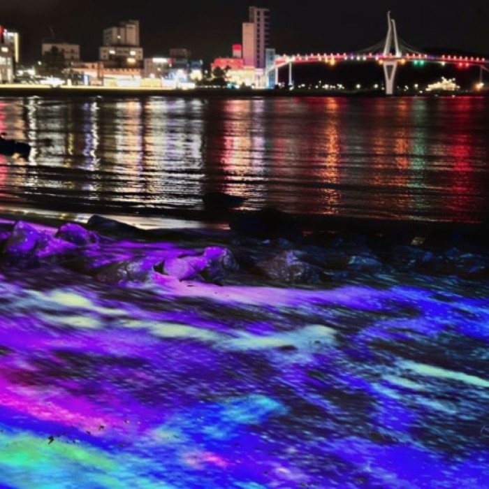 Discovering Myeongseondo: A Nighttime Paradise on the Southern Coast5174