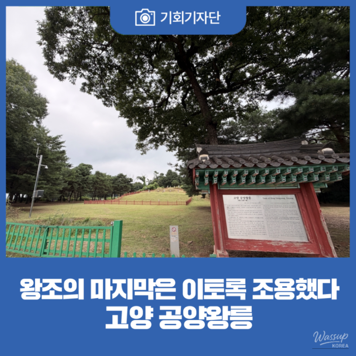 The Tomb of King Gongyang: A Humble Reflection on Korea's Last Dynasty2507