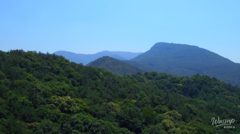 Exploring the Scenic Bongmyeongsan Suspension Bridge in Mungyeong_03