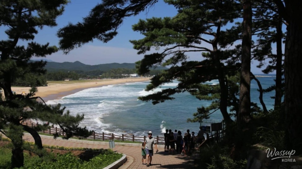 Discovering the Hidden Gems of Songjiho and Hwajinpo Beaches_05