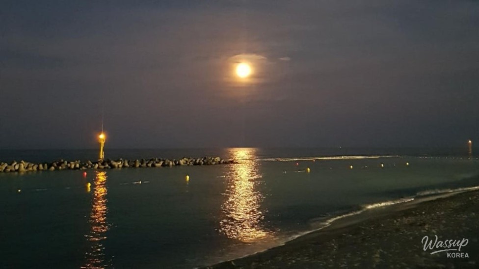 Exploring the Beauty of Uljin: A Perfect Summer Getaway_05